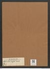Navicula major Kuetz. (de-Toni-Nr.: Genus 1, Species 4) Zeichnungen Sammlung Grunow Mappe 00005 (Herbarium_W_Grunow_drawings_Folder_00005)